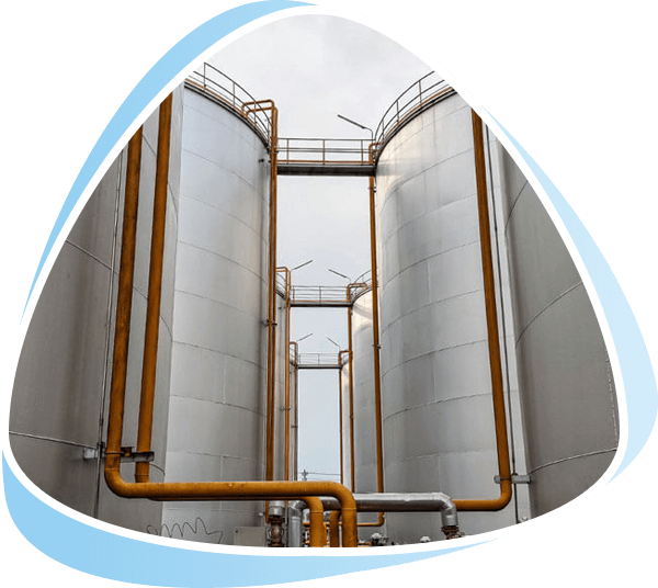 Specialised Consultancy Services